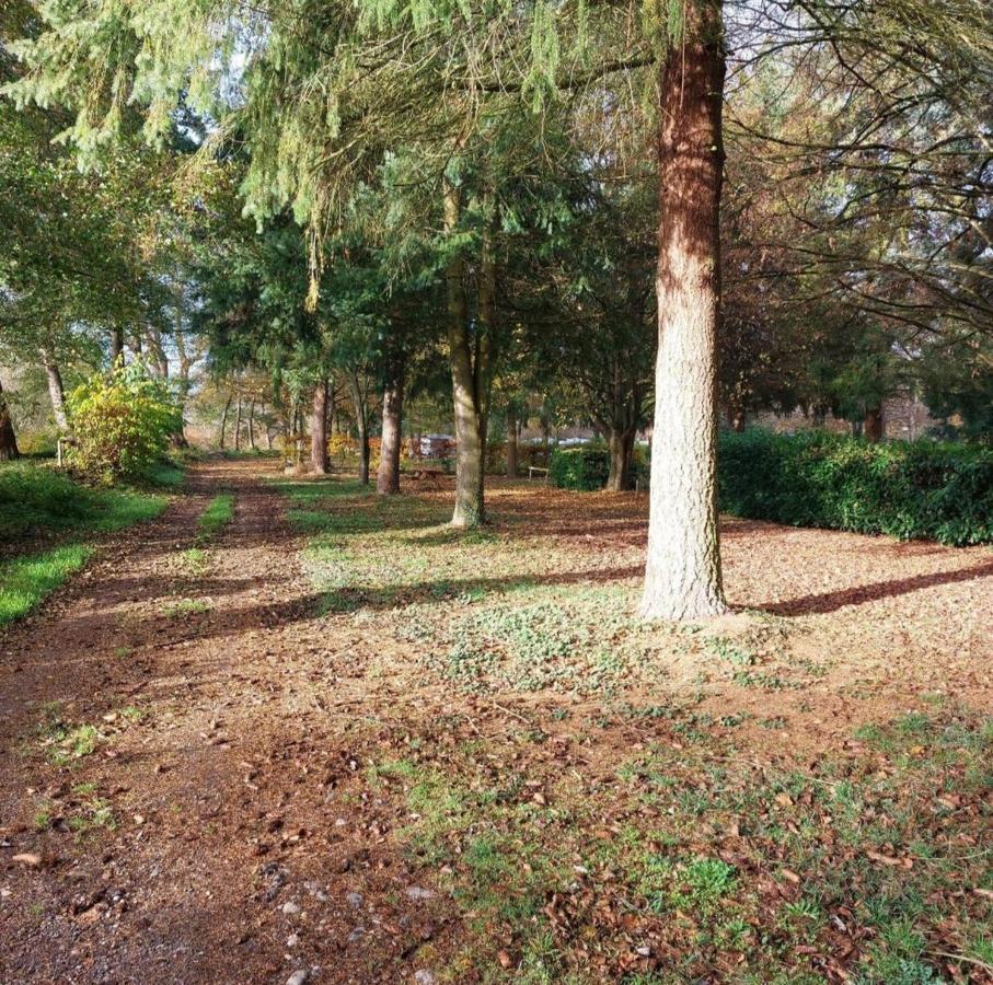 Chalet Beau Rivage Gunsbach Kültér fotó